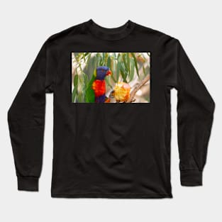 Rainbow lorikeet eating apple. Long Sleeve T-Shirt